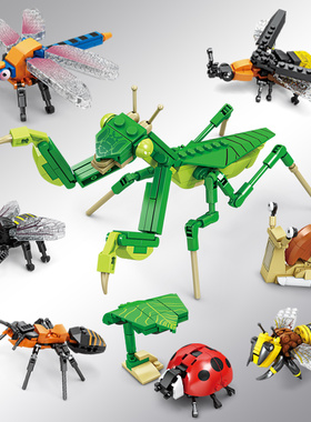昆虫积木男女孩益智力拼装玩具海洋动物拼图模型螳螂61儿童节礼物