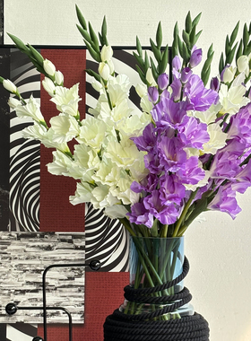 密度家居白紫色剑兰仿真花瓶摆件花艺客厅餐桌花茶几玄关装饰假花