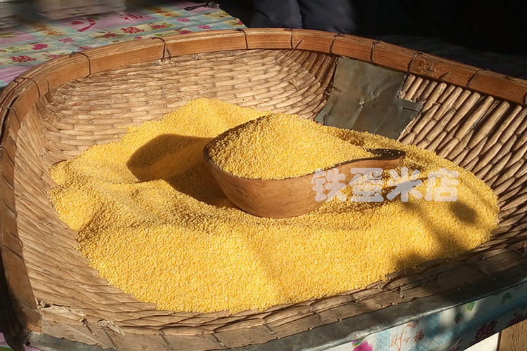 农家小米自产特产东北红谷小米新米黄小米孕妇米宝宝米月子米500g