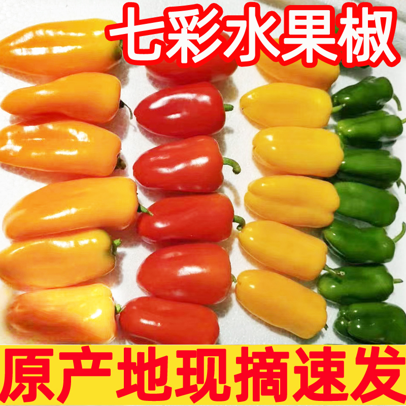 水果彩椒新鲜五彩甜椒生吃七彩红灯笼红辣椒小米辣椒蔬菜整箱包邮