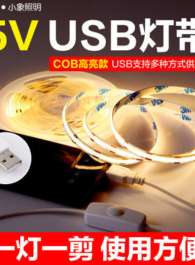 5vcob灯带USB带开关柔性玄关走廊酒柜橱柜演出服装电池盒led灯条