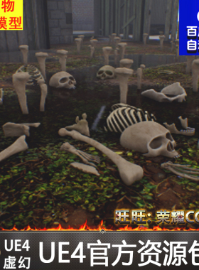 UE4虚幻4 Skull Package 写实骷髅头头骨游戏道具