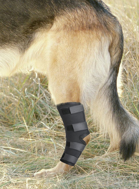 宠物护具狗狗户外用品打猎犬护腿后腿无力金毛护腿辅助
