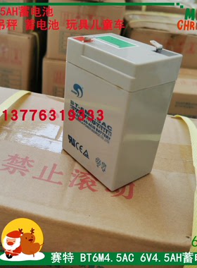 台湾赛特电子秤6V4Ah/20hr吊称蓄电池玩具儿童车BT-6M4AC电瓶