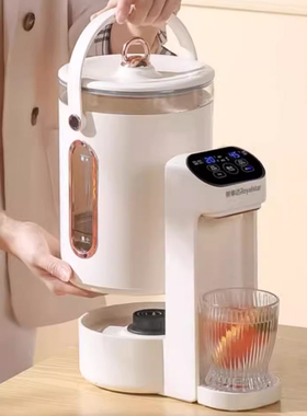荣事达恒温智能热水壶全自动电热水瓶家用烧水壶保温一体饮水机5L