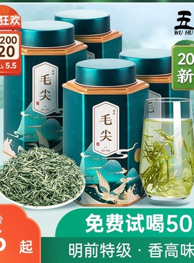 五虎特级毛尖茶浓香型绿茶2024新茶春茶毛尖嫩芽茶叶散茶罐装