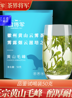 【试喝装】徽将军2024新茶一级黄山毛峰自己喝的绿茶茶叶袋装50g