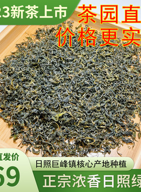 日照绿茶2023年新茶板栗浓香型茶叶500g袋装茶正宗散装自己喝炒青