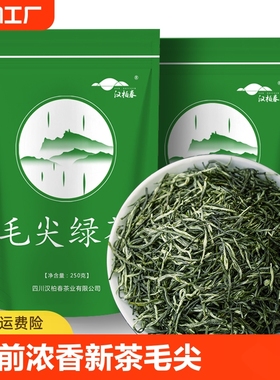 【500克】2024新茶高山毛尖绿茶茶叶浓香型明前云雾毛尖