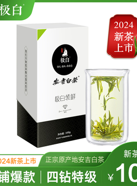 2024新茶绿茶上市极白安吉白茶商务礼盒装特级100g 雨前茶叶春茶