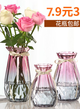 北欧创意玻璃花瓶透明水培绿萝植物玻璃花瓶家用插花客厅装饰摆件