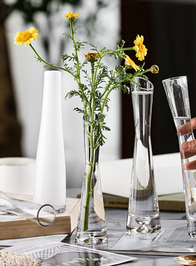北欧风格ins风小花瓶客厅插花摆件玻璃透明水养鲜花迷你简约花器