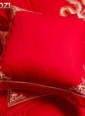 大红色纯棉靠垫枕套 刺绣抱枕一对45*45CM沙发结婚床上用品婚庆
