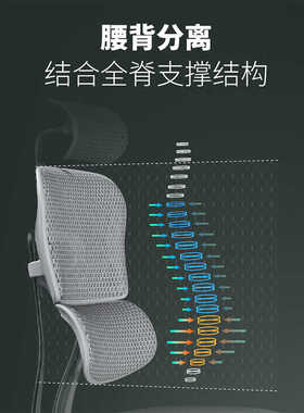 【网红爆款】保友金豪e2代人体工学椅电脑椅办公椅护腰工程学椅子