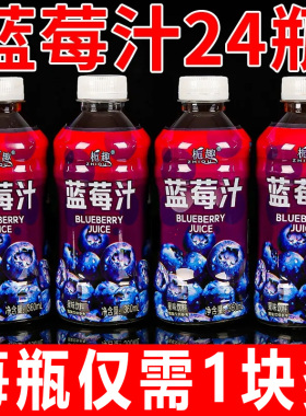 无糖饮料蓝莓汁整箱批发360ml*6/12瓶蓝莓果味饮料水果汁饮用饮品